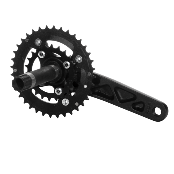 Samox-web-x3-backside